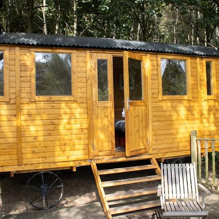 Pike'S Cabin In The Woods Хебден-Бридж Экстерьер фото